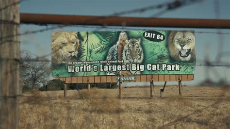 tiger king torrentz|1337x .